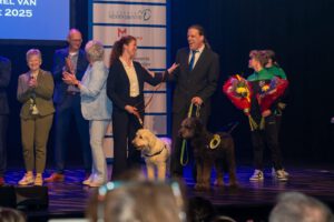 Lees meer over het artikel Drentse Sportparel 2025 voor Cannonballstoernooi